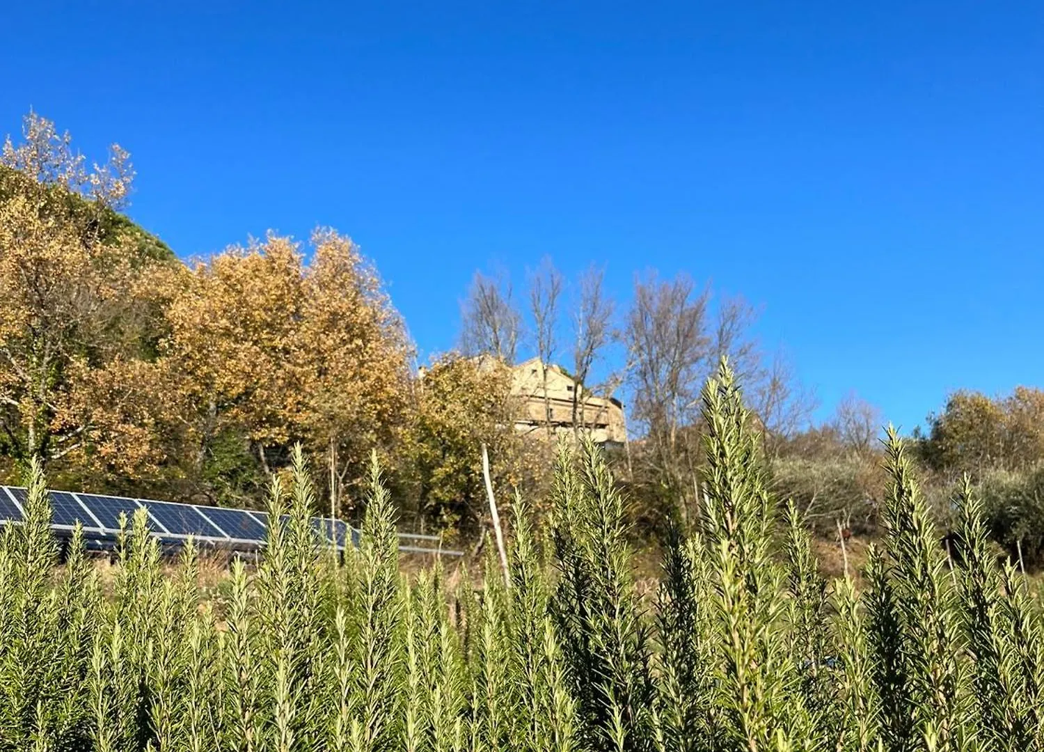 Bio Agriturismo Alba Etrusca Di Cortona - Organic Farmhouse- Appartamento Lavanda-Appartamento Rosmarino - Vasca Idromassaggio Esterna Poggioni 0*,